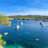 Ibiza bestemming