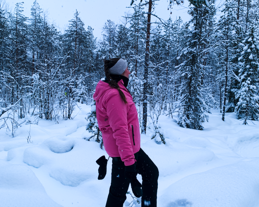 Lapland snowshoehike